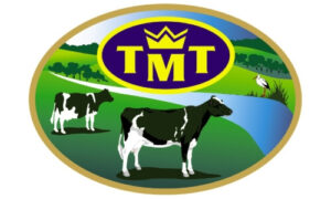 TMT-logo-kolor